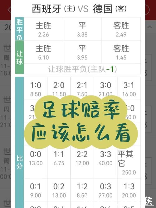 世界杯投注入口赔率分析与投注策略